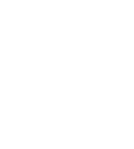 DJ Honey Toast