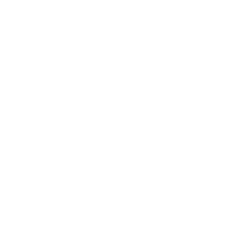 Bar 335